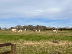 No.51 Llanteg Park - South Wales - 1180253 - thumbnail photo 16