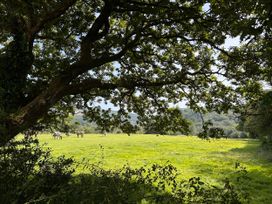 A view of horses in a field framed by tree branches at No.51 Llanteg Park Amroth
