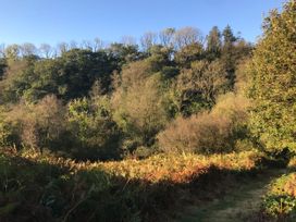 A view of trees and undergrowth with a path at No.51 Llanteg Park Amroth