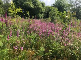 No.51 Llanteg Park - South Wales - 1180253 - thumbnail photo 23