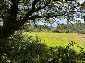 A field with horses in the distance at 51 Llanteg Park Amroth