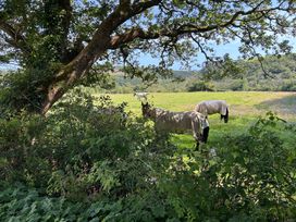 Horses in a field with trees and bushes at 51 Llanteg Park in Amroth