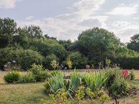A garden with various plants and flowers at The Roost in Whitford Nr. Colyton