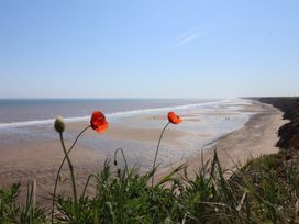 A beach with poppy flowers in the foreground at Meadows Park 2 Great Hatfield near Hornsea