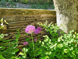 Flowers near a stone wall and tree at 1 Park Road Windermere