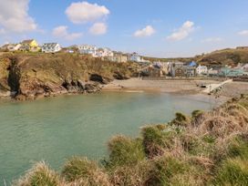 A beach with houses and water at Dolphin in Haverfordwest