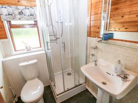 A bathroom with a shower, sink, and toilet at Oak Lodge near Mynydd Cerrig