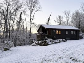 A cabin surrounded by snow and trees at Ash Lodge in Mynydd Cerrig near Porthyrhyd