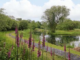 A path and pond surrounded by trees and flowers at Ash Lodge Mynydd Cerrig near Porthyrhyd
