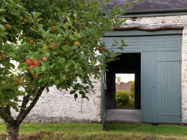 An apple tree with apples near a stone wall and an open green door at West Cottage Llandovery