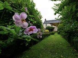 A garden pathway with flowers leading to a house at West Cottage in Llandovery