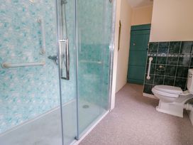 A bathroom with a shower and toilet at Bryn Dwr in Llangollen