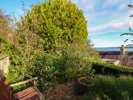 A garden view with plants and a bench at Zenobia in New Quay