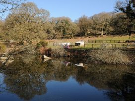 A scene with water reflecting trees and playground at Trebah in St Breward