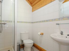 A bathroom with a shower, toilet, and sink at Eden in St Breward