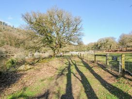 A pathway with a tree and fence at Polzeath in St Breward