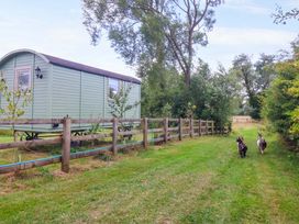 A caravan with two goats walking near a fence at Shepherds hut in 