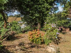 A garden with plants and trees at Garreg Fawr