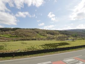 A field with sheep and trees at Ysgoldy in Dolwyddelan