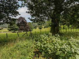 A view of trees and a field at Two Hollens in Grasmere