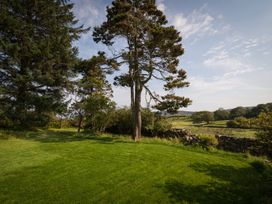 A garden with a tree and grass at Souterstead in Torver near Coniston