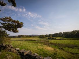 A field with trees and stone wall at Souterstead Torver near Coniston