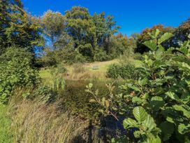 A pond with a bench and greenery at Dwrgi Llanybydder