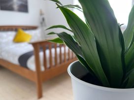 A bedroom with a plant in a pot and a bed at Dolwen in Caernarfon