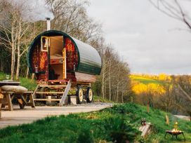 A caravan on a wooden deck with a fire pit at Goldfinch in Launceston