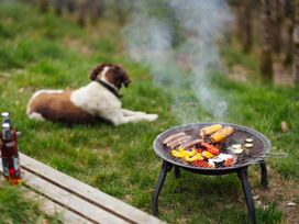 A grill with food and a dog on the grass at Goldfinch in Launceston