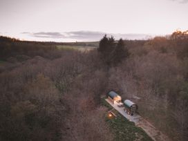 A cabin set in a forest with a gravel road and fire pit at Goldfinch in Launceston
