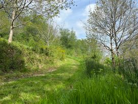 A pathway surrounded by grass and trees at Goldfinch in Panson Mill near Ashwater