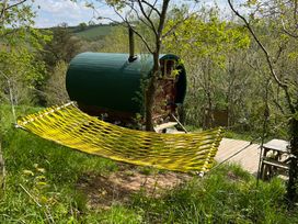 A hammock near a green cabin in the woods at Goldfinch Panson Mill near Ashwater