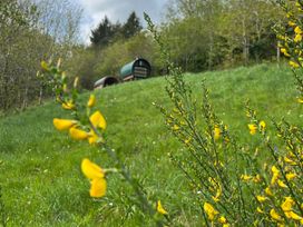 A garden with yellow flowers and a shed at Goldfinch in Panson Mill near Ashwater