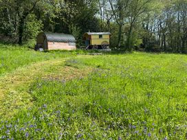 A caravan and wooden structure in a grassy area with bluebells at Prudence in Launceston
