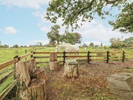 A horse near a wooden fence at Coole Gate Lodge, Gort, County Galway