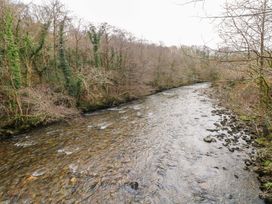 A river flowing through a wooded area at Tawe Cottage Swansea