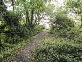 A pathway surrounded by trees and bushes at Woodlawn Retreat Portanure near Lough Gowna