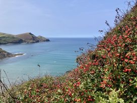 A coastline view with bushes at Treovis Cottage in Callington