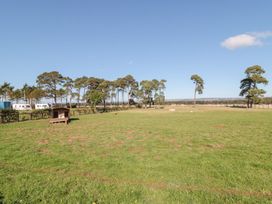 An open field with trees and a shed at East Cottage in East Knapton near Rillington
