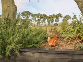 A chicken walking near bushes and trees at 3 Marinas side in Malton