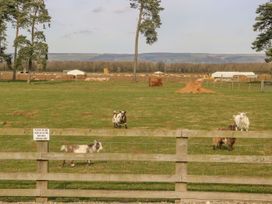 A farm with goats in a field at 3 Marinas side in Malton