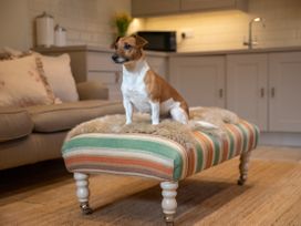 A dog sitting on an ottoman in a living room at The End in Low Ham near Langport
