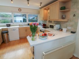 Snowy Owl View at The Breakwater - Devon - 1183762 - thumbnail photo 12