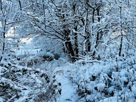 A snowy pathway surrounded by trees and bushes at The Cabin in Crawshawbooth