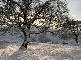 A snowy landscape with trees and the sun in the background at The Cabin Crawshawbooth