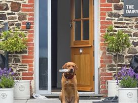 A dog holding a stick in its mouth at The Dairy in Bridgerule