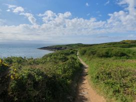 A path along the ocean with cliffs and vegetation at The Hideaway in Pwllheli