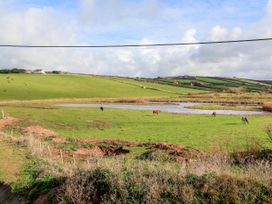A view of cattle grazing in a field near a pond at 8 Thurlestone Rock in Kingsbridge