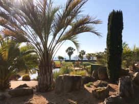 A garden with palm trees and rocks at Number 2 Ellington Court Apartment Torquay